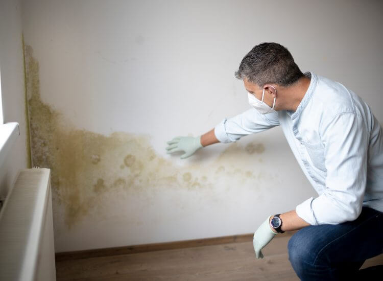 how to tell if you have mold in a commercial building in Baltimore MD
